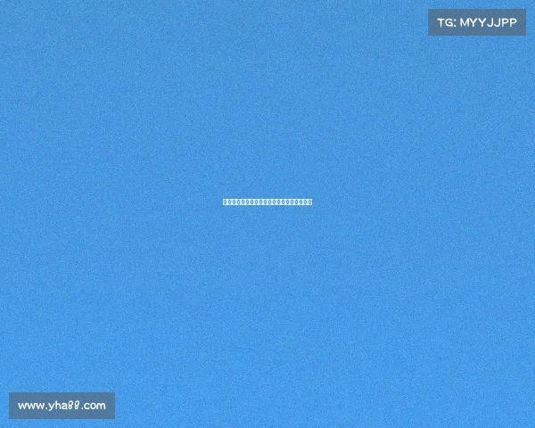 京东电竞风云录：荣耀征程背后的热爱与坚守